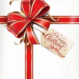 Poly Mailer Shipping Bags